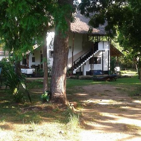 Diani Banda Cottages شاطئ دياني المظهر الخارجي الصورة