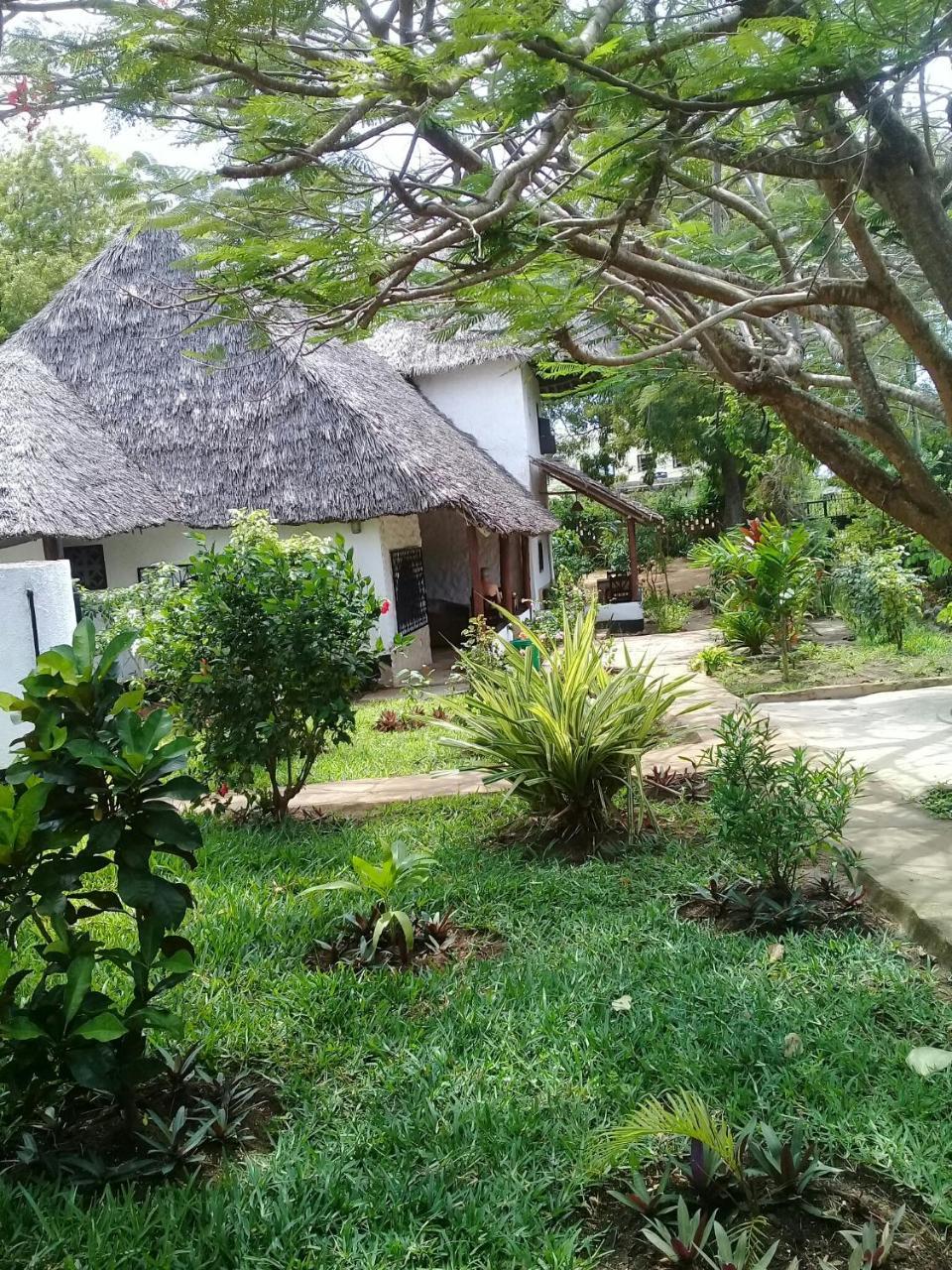 Diani Banda Cottages شاطئ دياني المظهر الخارجي الصورة